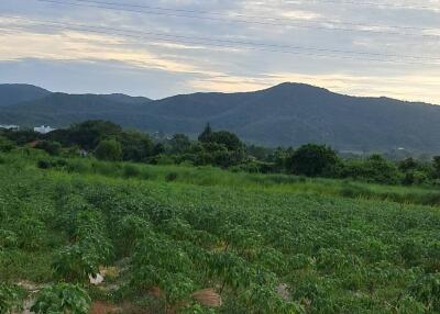 Scenic view of a vast green field with mountainous background