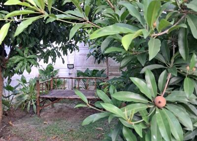 Serene garden with lush greenery and seating