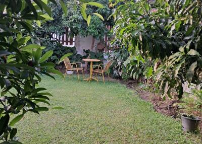 Beautiful garden area with outdoor seating