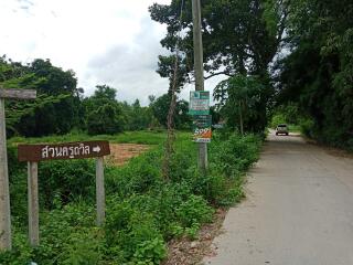 Scenic pathway with greenery