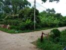 Exterior view with lush greenery and a utility pole