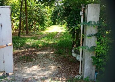 View of the garden with lush greenery and an open gate