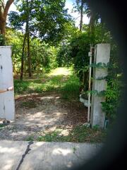 View of the garden with lush greenery and an open gate