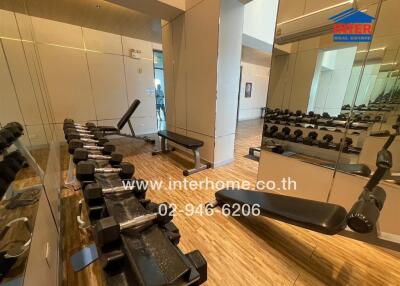 Gym with workout equipment including weights and benches