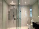 Modern bathroom with glass-enclosed shower and toilet.