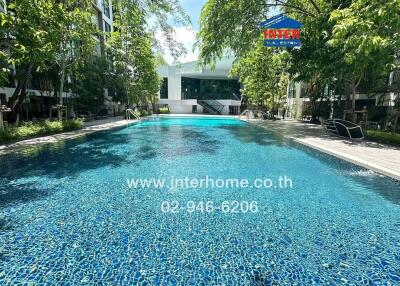 Outdoor swimming pool with clear water and surrounded by trees