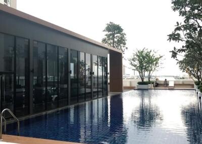 Outdoor swimming pool with lounge chairs and greenery