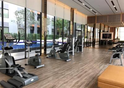 Modern gym with large windows and various exercise equipment