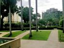 Green garden area with palm trees