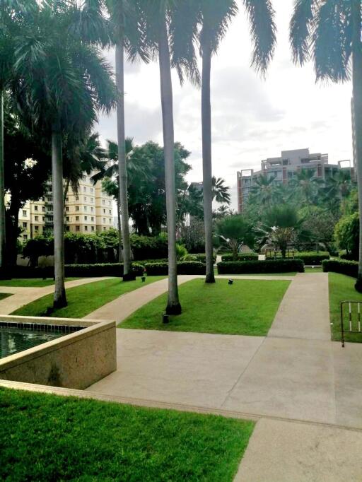 Beautiful garden with palm trees and pathway