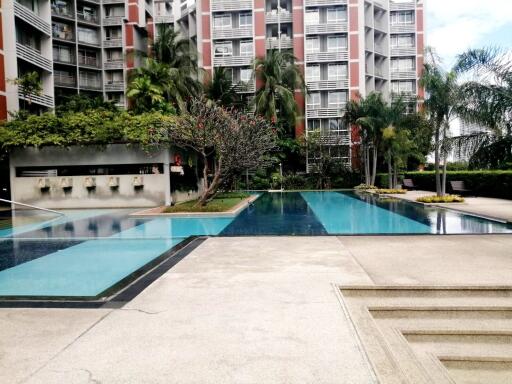 Condominium outdoor swimming pool area with surrounding greenery