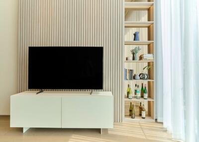 Modern living room with TV and built-in shelving