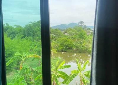 View from a bedroom window overlooking a lush, green landscape with trees and plants