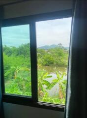 View from a bedroom window overlooking a lush, green landscape with trees and plants