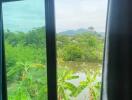 View from a bedroom window overlooking a lush, green landscape with trees and plants