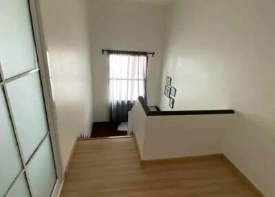 Staircase with wooden flooring and white walls