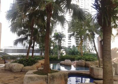 Outdoor pool area with palm trees