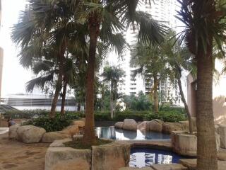 Outdoor pool area with palm trees