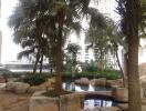 Outdoor pool area with palm trees