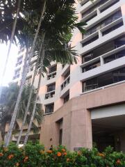 Exterior of a residential building with plants in the foreground