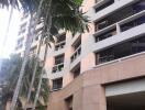 Exterior of a residential building with plants in the foreground