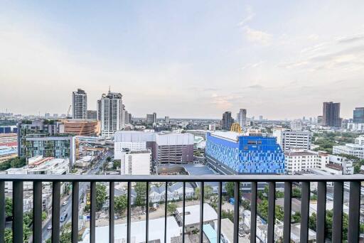 Cityscape view from balcony