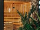 Luxurious sauna surrounded by greenery