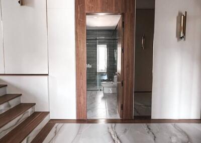 Modern entrance with marble flooring