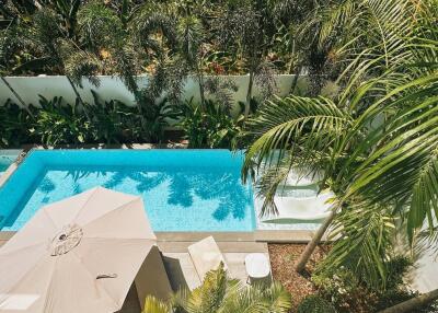 Aerial view of a backyard pool surrounded by lush greenery