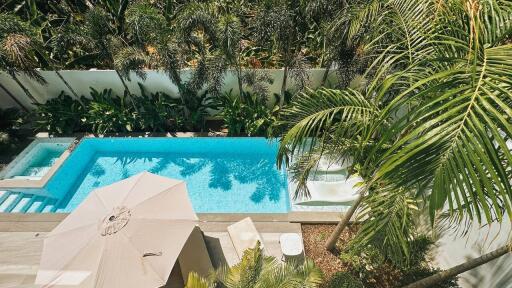 Aerial view of a backyard pool surrounded by lush greenery