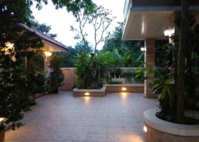 Spacious patio with abundant greenery and lighting