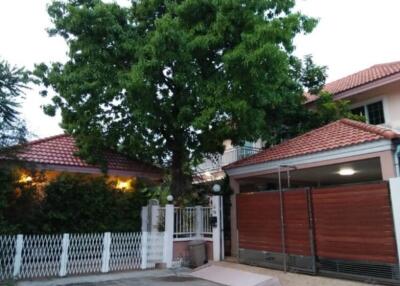 Exterior view of a house with a large tree