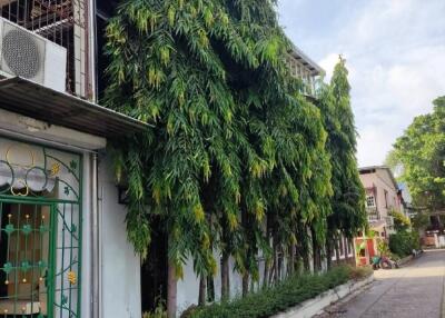 Exterior view of a residential building with tall trees