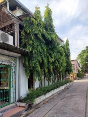 Exterior view of a residential building with tall trees