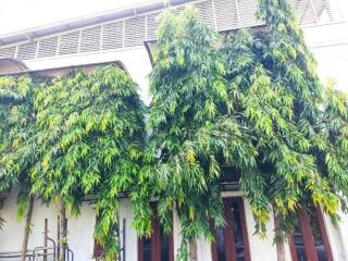 Exterior view of the building with lush greenery