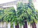 Exterior view of the building with lush greenery