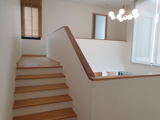 Modern wooden staircase with handrail in a bright interior