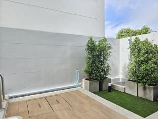 Modern outdoor area with wooden deck and greenery