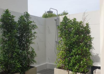 Modern outdoor shower area with greenery
