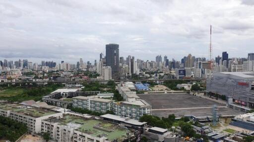 View of the city with various buildings and skyline