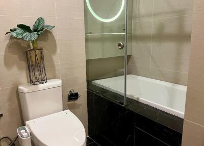 Modern bathroom with toilet, potted plant, and bathtub with glass enclosure