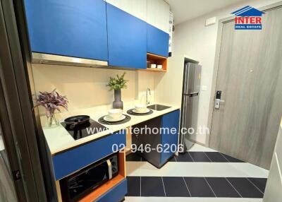 Modern compact kitchen with blue cabinetry