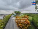 Rooftop garden with city view