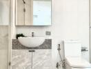 Modern bathroom with a mirror, basin, storage cabinets, toilet, and shower