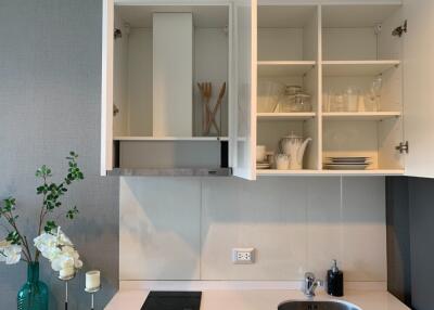 Modern kitchen with open cabinets showcasing utensils and dishware