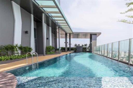 Rooftop swimming pool with city view