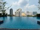 Outdoor pool with city skyline view