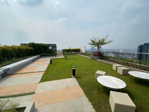 A spacious rooftop garden with greenery and city views