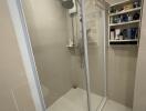 modern shower area with glass enclosure