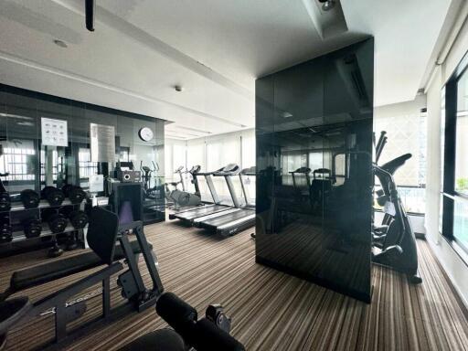 Well-equipped modern gym with treadmills, weight machines, and dumbbells